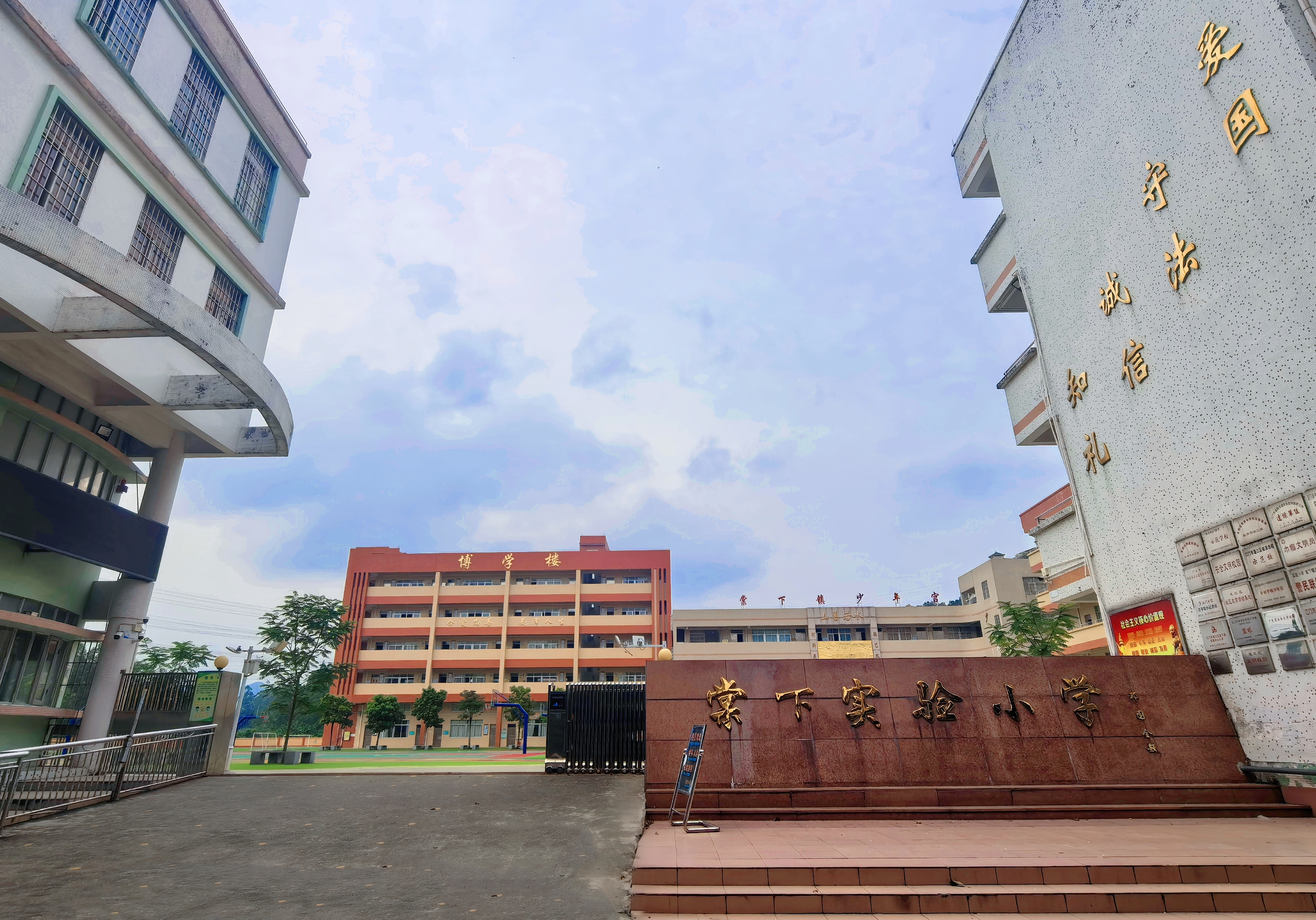 棠下鎮(zhèn)實驗中心小學(xué)正門口.jpg